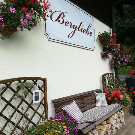 Haus Bergliebe Hotel Filzmoos Bagian luar foto