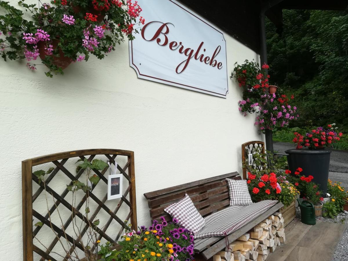Haus Bergliebe Hotel Filzmoos Bagian luar foto